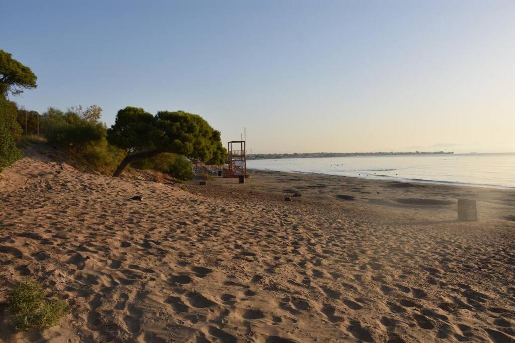 Seashell Apartment -Near The Beach 阿特米达 外观 照片